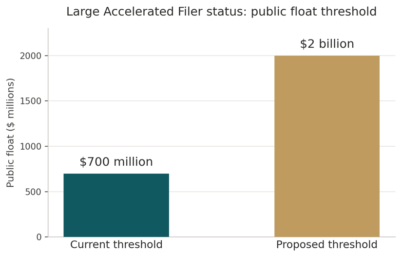 Large Accelerated Filer Status