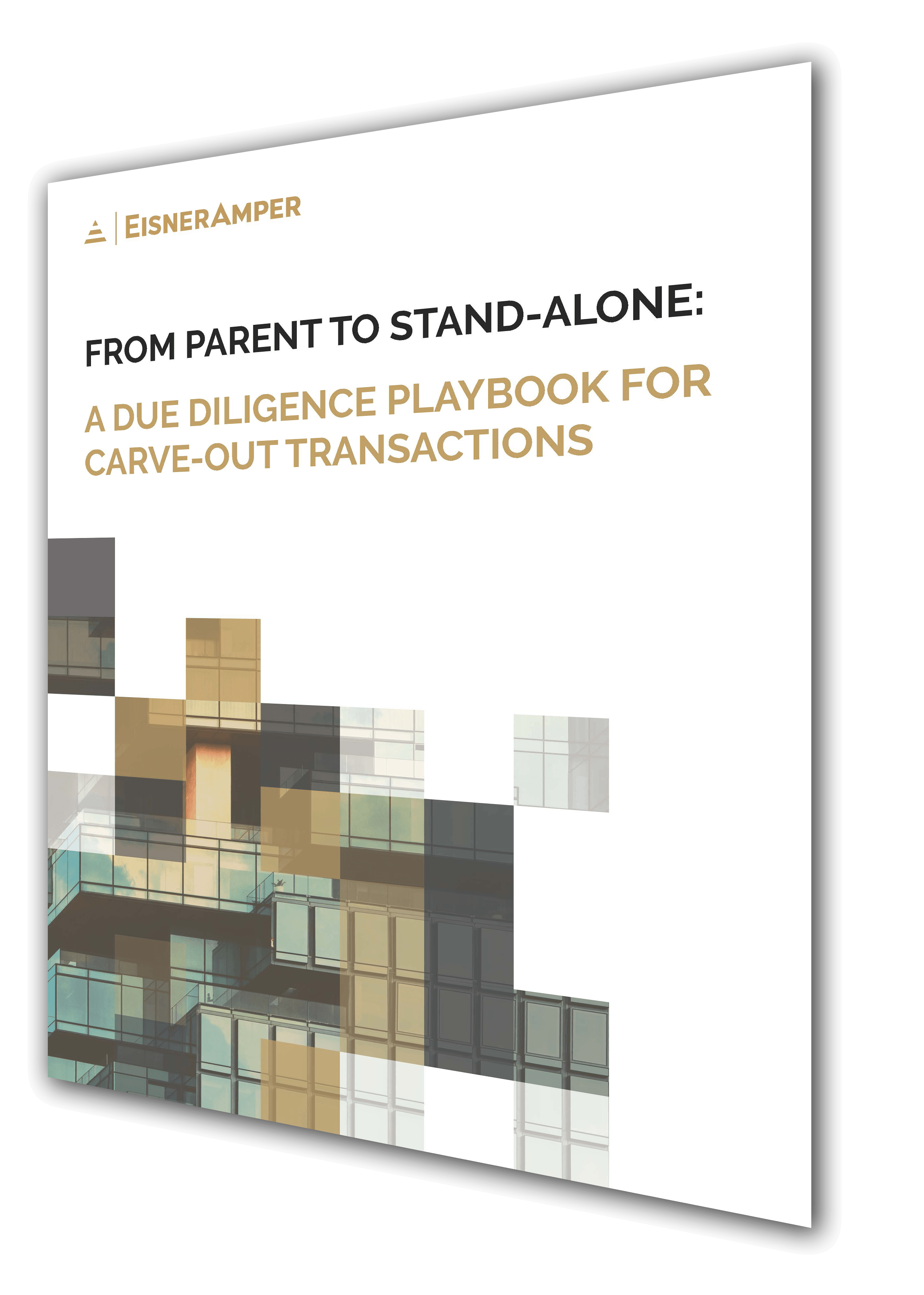 Carve Out Transaction