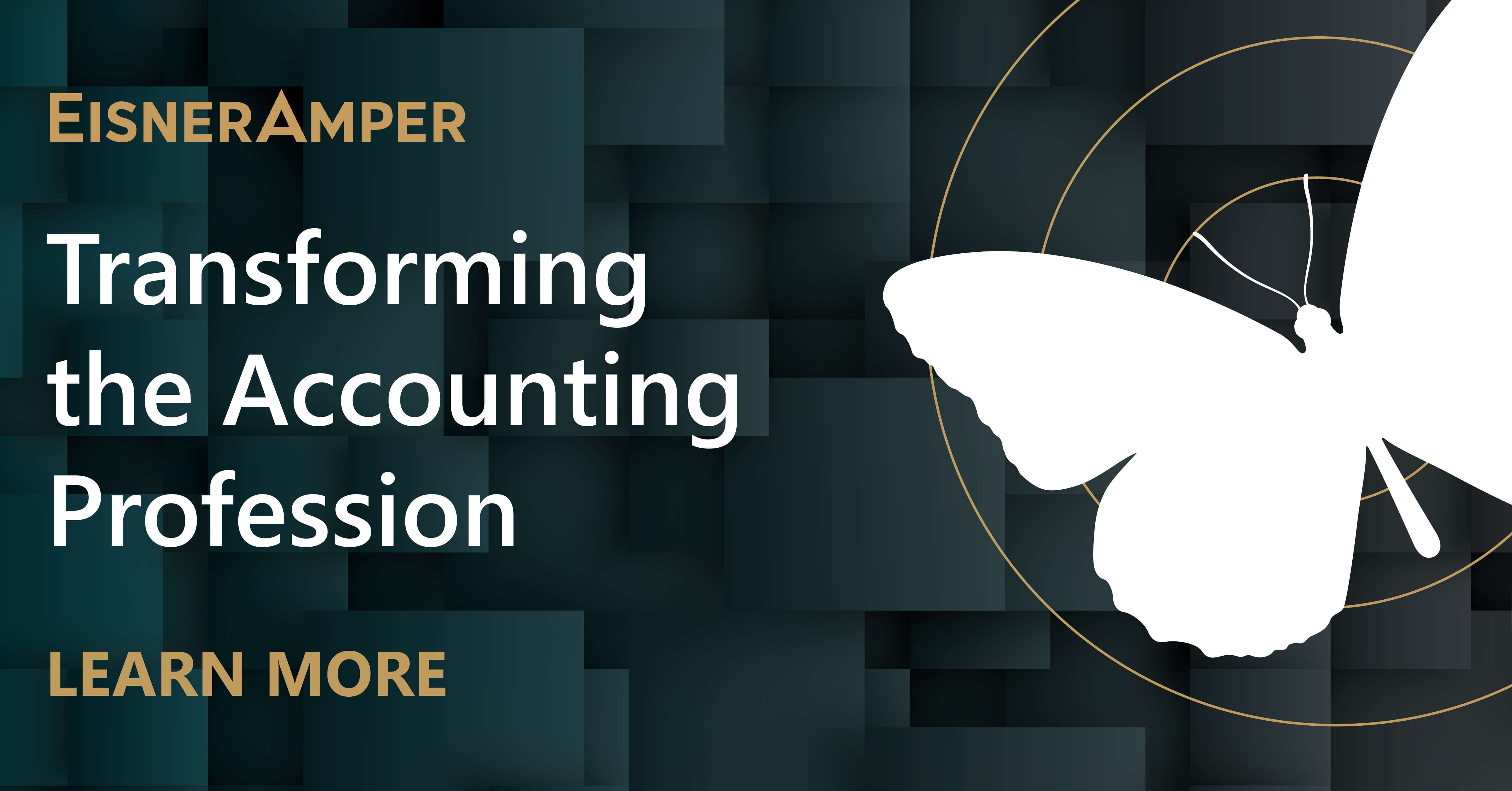 EisnerAmper Investment by TowerBrook Capital Partners